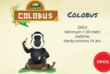 colobus