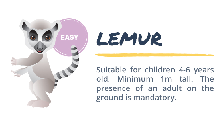 2-lemur